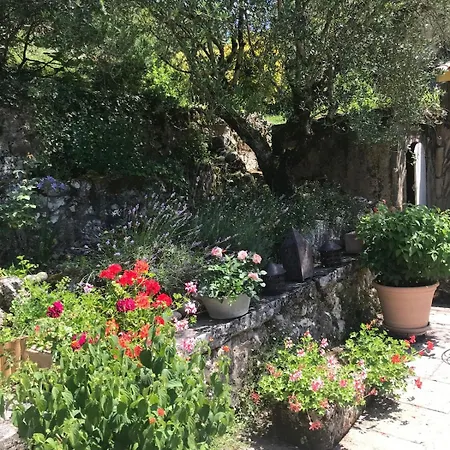 Beautiful Stone House With Pool Villa Salleboeuf